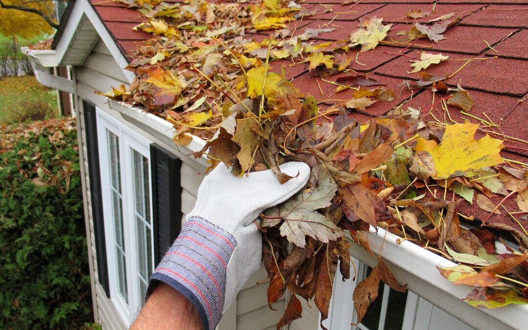 Preparing Your Home for Fall & Winter