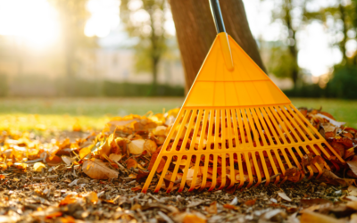 Fall Home Safety Tips