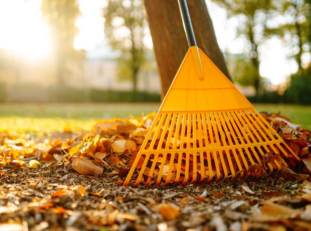 Fall Home Safety Fall Home Safety